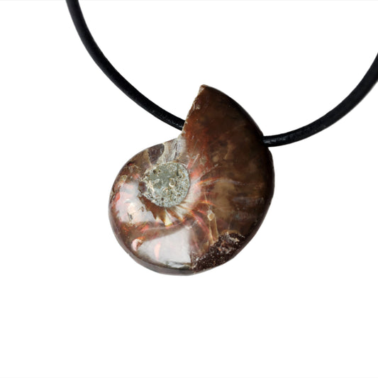 Ammonit Kette Edelstein mit Lederband