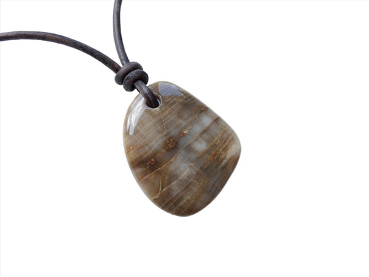 Versteinertes Holz Kette Edelstein mit Lederband