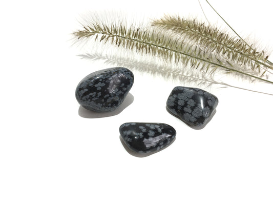 Schneeflocken Obsidian Trommelstein