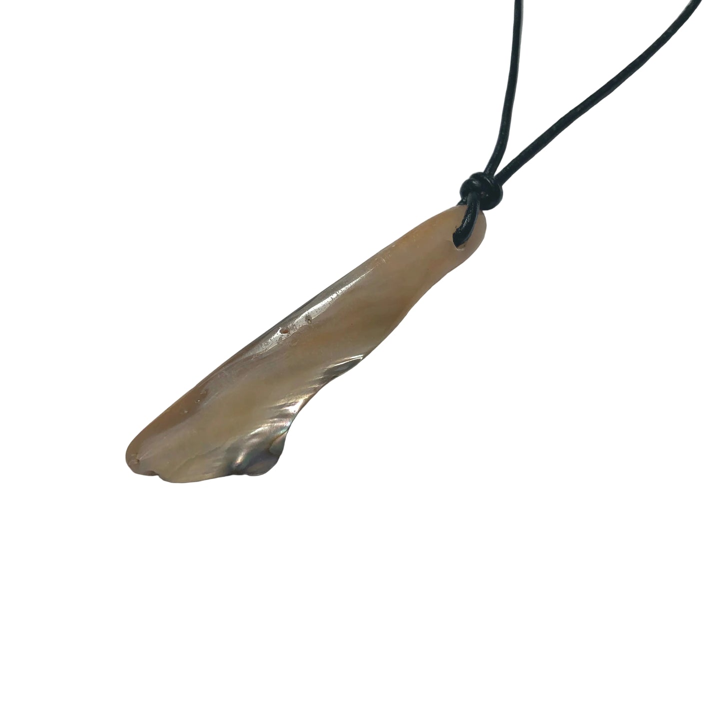 Paua Muschel Kette mit Lederband