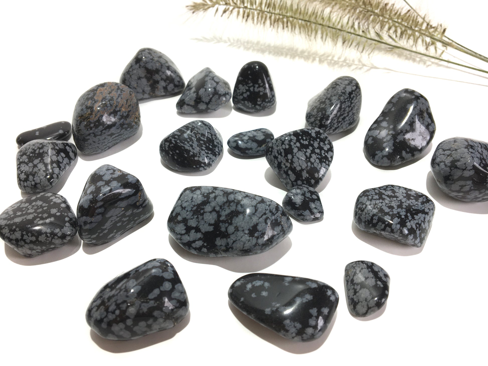 Schneeflocken Obsidian Trommelstein